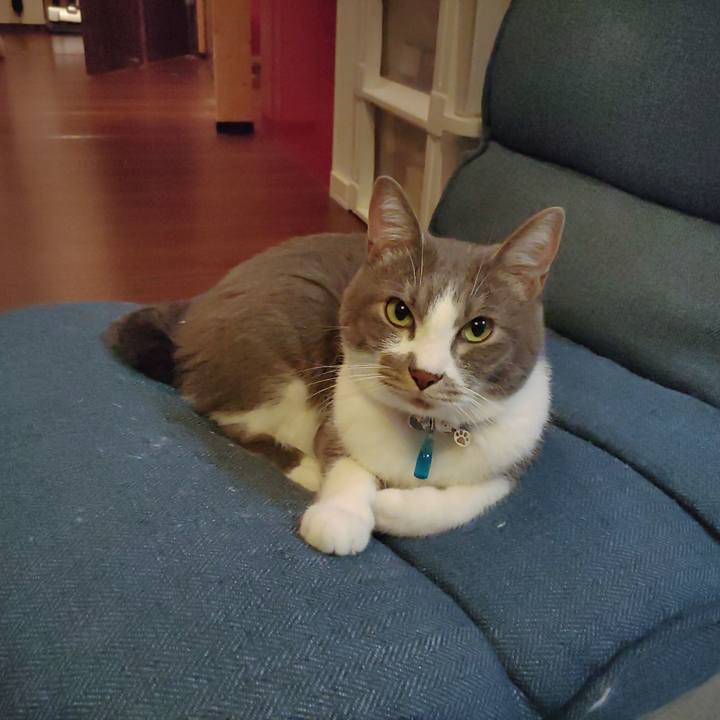 39ee7f02 9e31 4879 8495 a220760054f1 1668347868012