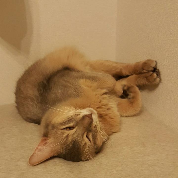 39eeb0ef 162c 41fa b092 d5662b159223 1539582147246