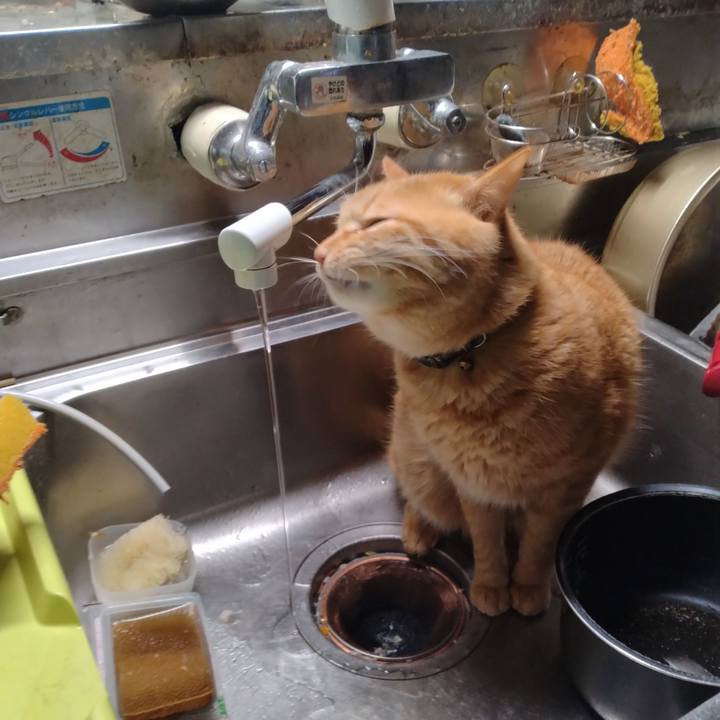 39eebc32 2b2f 47c8 af1a f75b9f7c6c4e 1707428433568