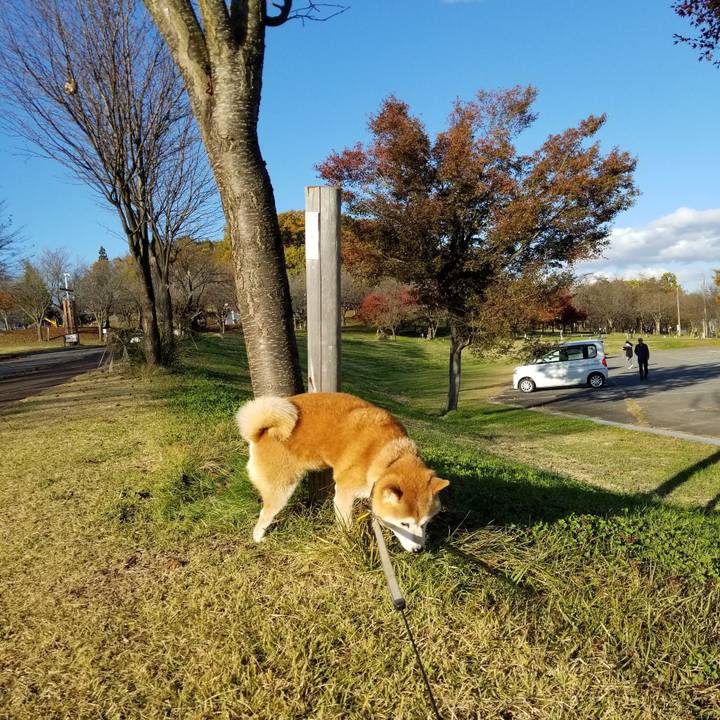 39eee51a 99d6 48cd 846f a6f402252cf7 1636179073551