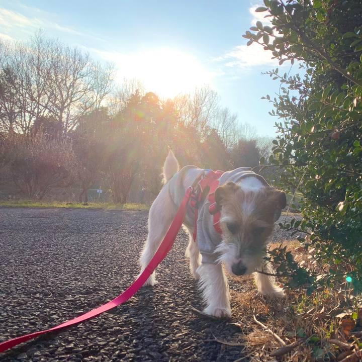 39eef967 20c9 409a 8a20 c5b8810feb57 1579859790217