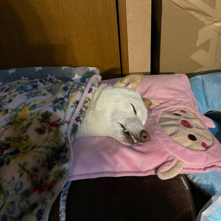 39ef0061 f874 448e a33c 37c98914ce08 1648315543868