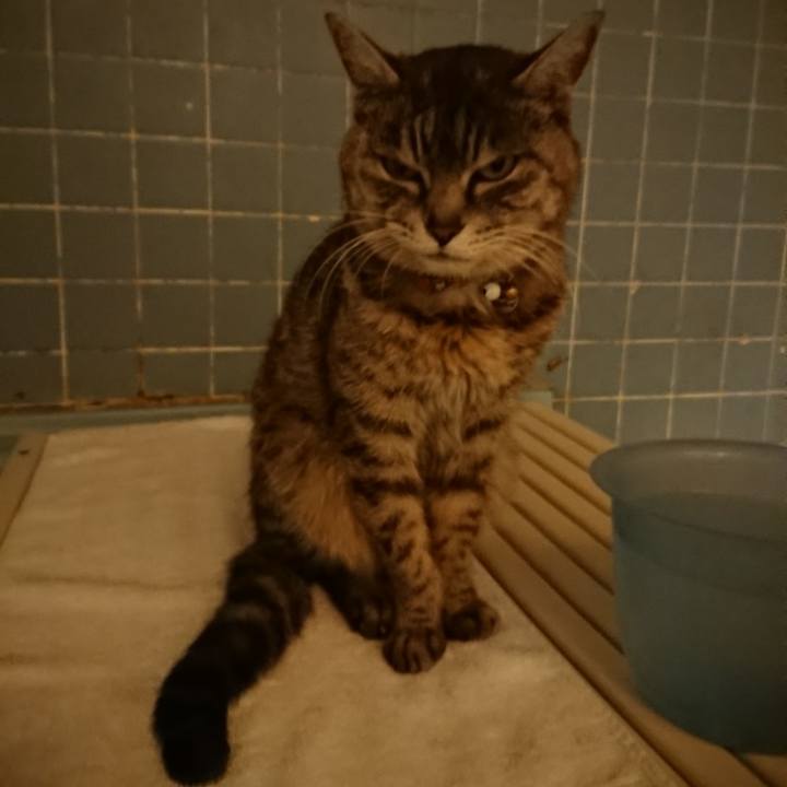 39ef0b77 d57e 49b1 a282 0d89a49b3071 1583144409556