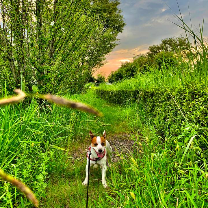 39ef1656 5f0f 4f65 b497 e4e17bca3007 1567333205195