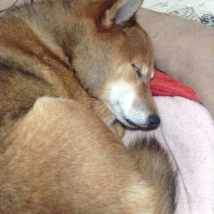 39ef80a9 558c 42fd 9d64 a5b93380e35a 1508887389042