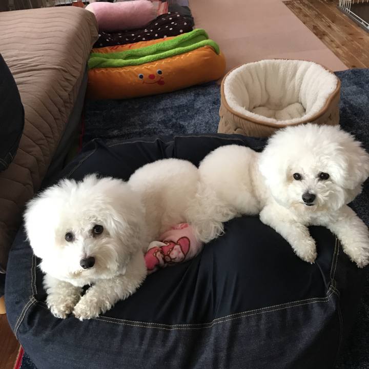 39efcd8c b9ef 4697 95fe 16c998271e87 1549859603194