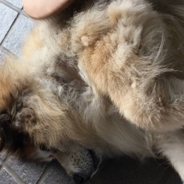 39efdf9f 26e8 4abb ac18 88ddf51a5e49 1610236505932