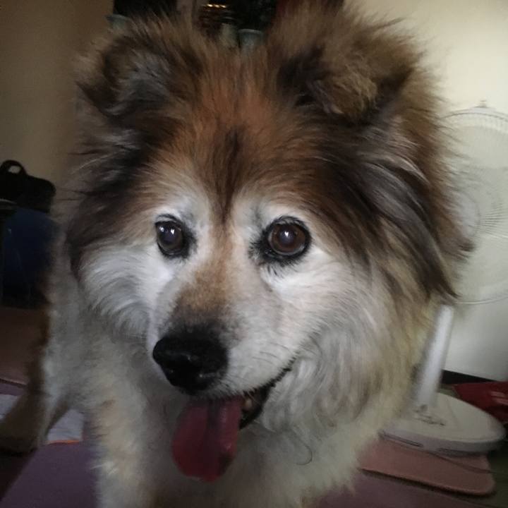 39efef5c e81f 4d04 a8e7 d73e70acf7b9 1570109024498