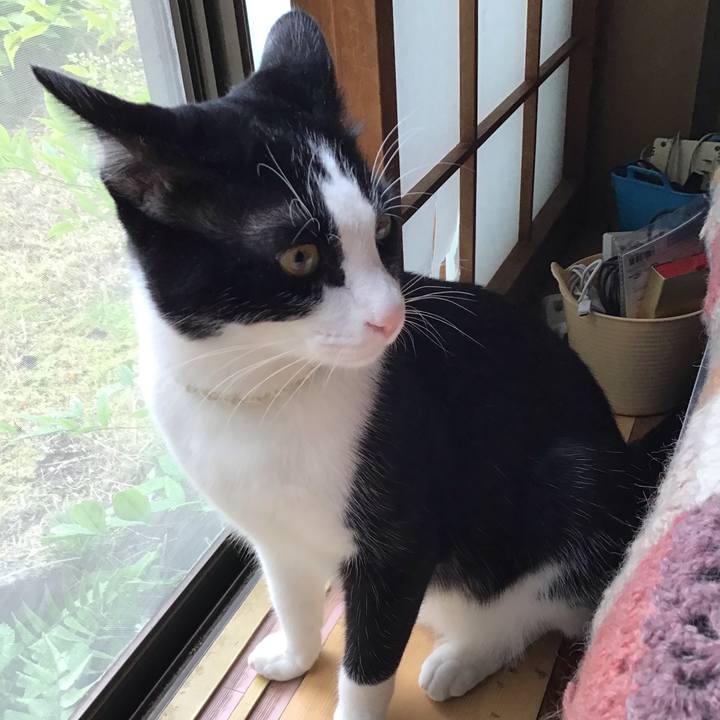 39eff0f3 3604 45b5 aefb 67ced7df539b 1653962921693