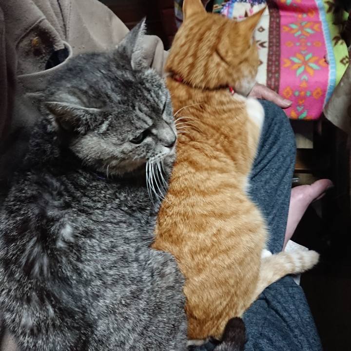 39eff33f b435 4152 9467 304f72771e39 1578603904158