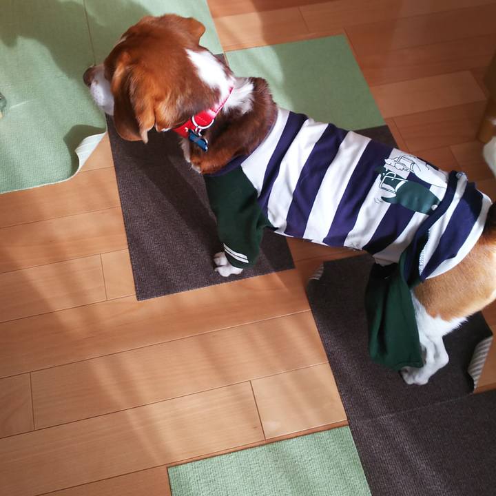 39f006d4 7f58 462a 9d47 4a8b89904989 1607824355655