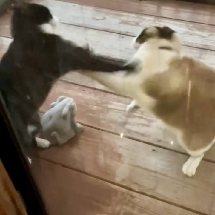 39f03915 7830 4cbe 8d72 a04a7dd312fa 1734349297654