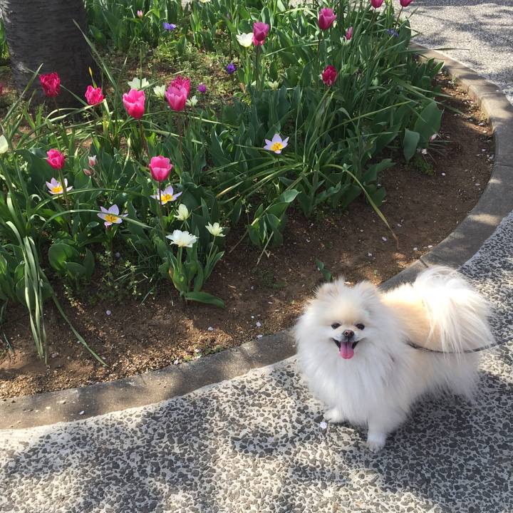 39f065bc d13b 4fe8 be8d 8181515cbef3 1616735326859