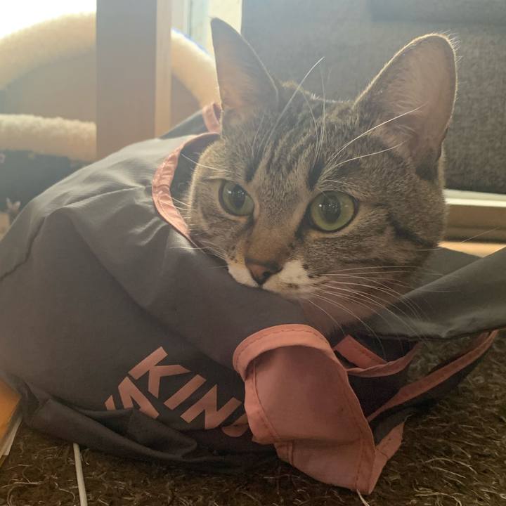 39f0a362 6e4f 462a 99b0 f569653d6d68 1644544676335