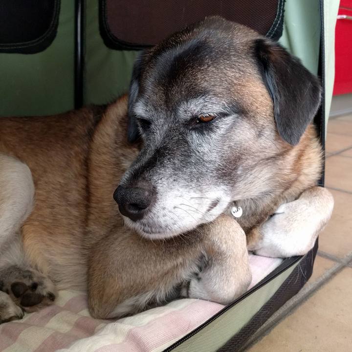 39f0bf55 342b 49bc bc06 84fc616d169f 1704587829412