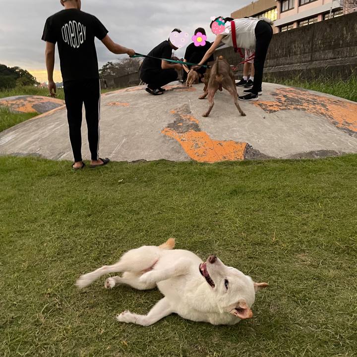 39f0d12a c5b9 48a3 bc6f 2437aff27c1f 1665841204865