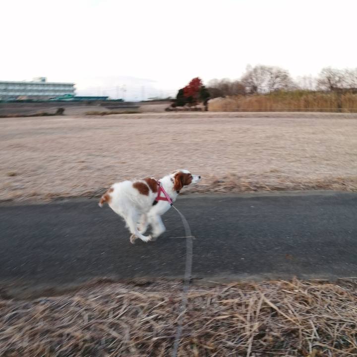 39f0ed2b 0fca 4c6a bd62 7f528f74fdf2 1609555595280