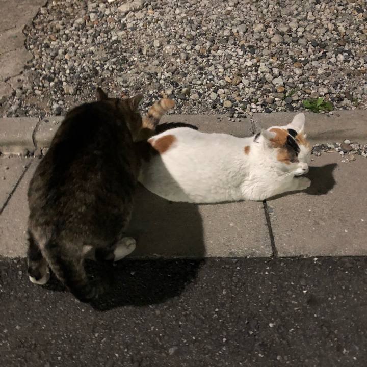 39f10deb 3673 465f b1bb bf46c85d71f0 1541327319594