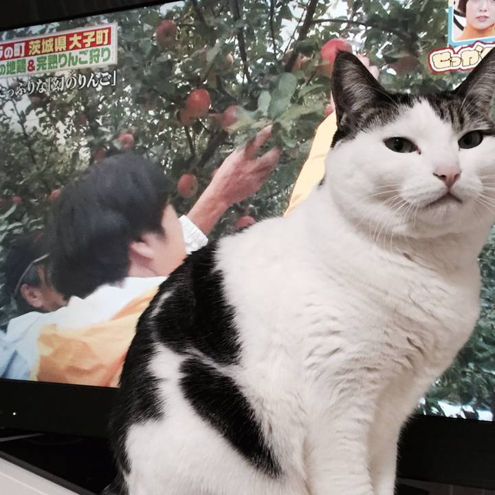 39f145a2 7b0f 4f74 bea7 bc1b16ed23cf 1511690563211