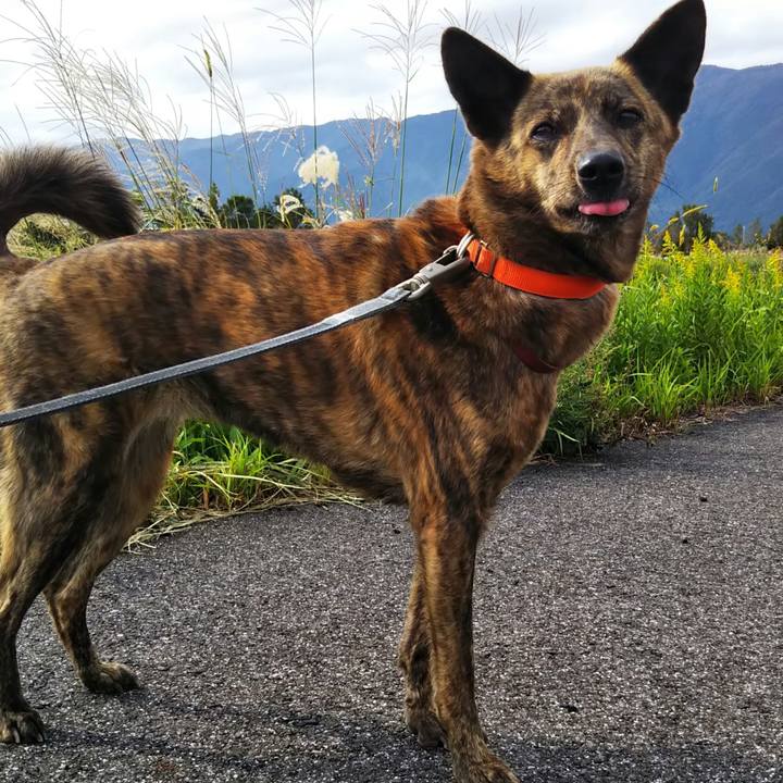 39f14a3a 5e26 43ca 9e27 b0aae882985f 1539402324848