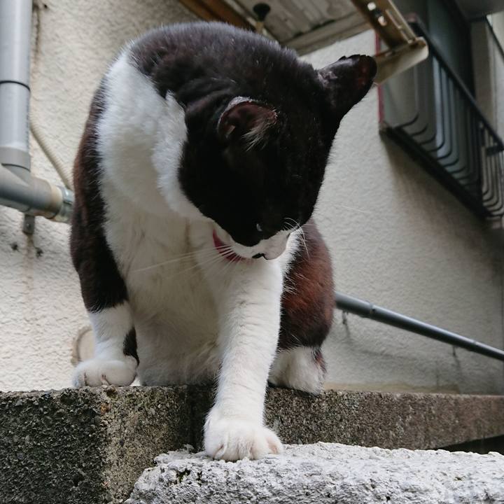 39f14a9d fe69 4321 a2e4 b72392078014 1538522214683