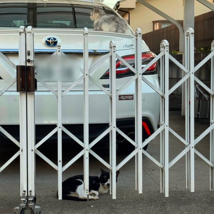 39f16566 35cd 442c 8827 fdba231a590a 1754605103675