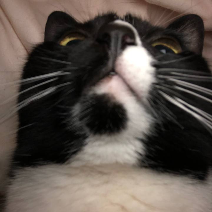 39f17c99 41fe 4965 9c39 71518d3bebac 1549972790998