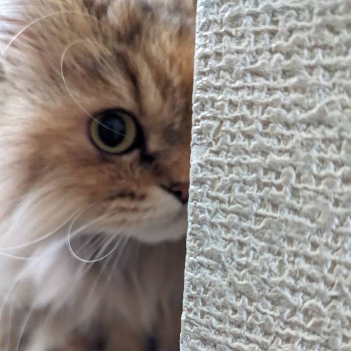 39f1b902 cf28 4e1b 81a0 3b6d27f6556e 1709774009148