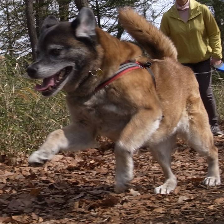 39f1cec1 808f 401b 861f d1ebf23d4c79 1601857771658