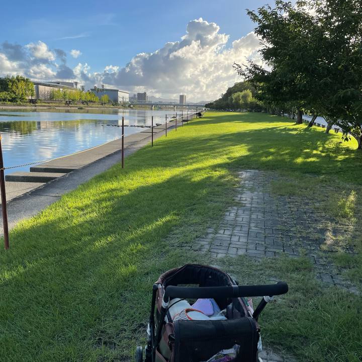 39f1fdb2 5817 436d a1af d52c3e6f7154 1659359381737