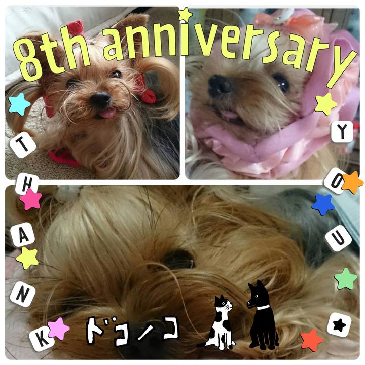 39f22fa7 1085 413a a7f7 81c450b59a5c 1718116470326