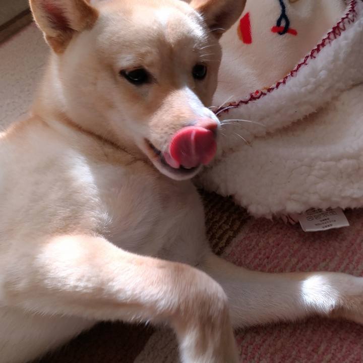 39f24b0e cb95 401d 8f17 0997aae1cf81 1516848547838