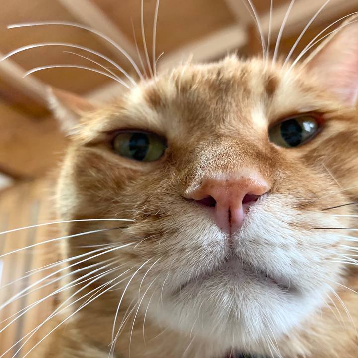 39f2b0a8 e1a2 45e7 aef4 8e5e7f82dbdd 1578458995648