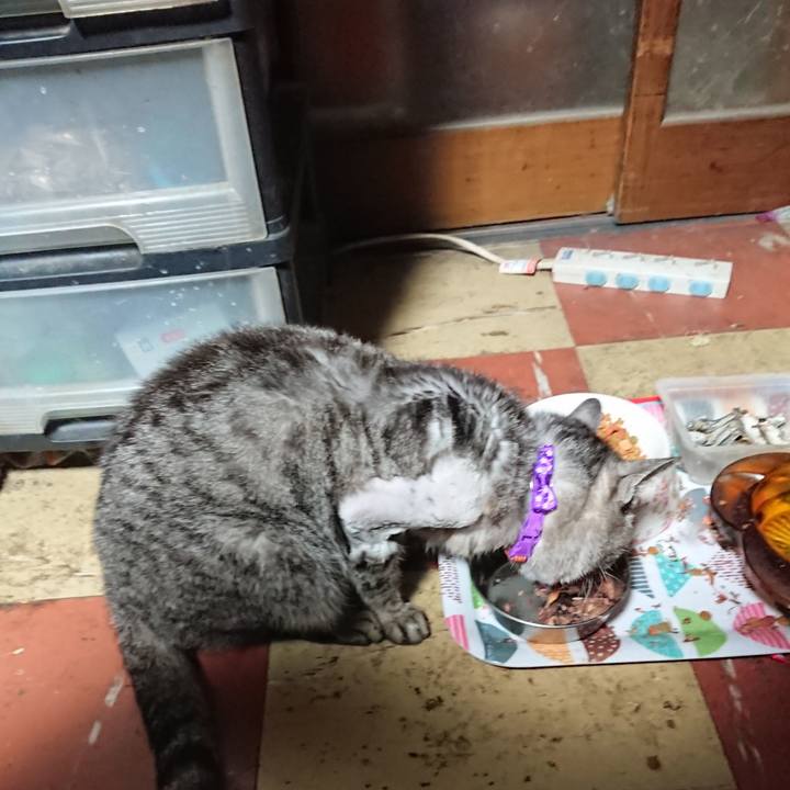 39f2b848 25f9 444e 9d66 1ce5b2092a94 1588711144444