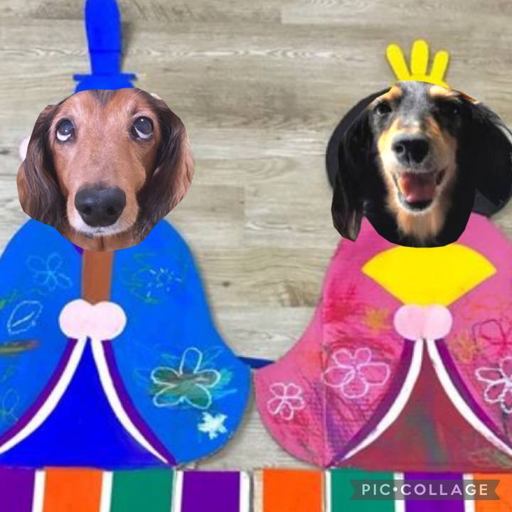 39f2e146 8ea4 43a5 9089 c3c991788829 1614811356489