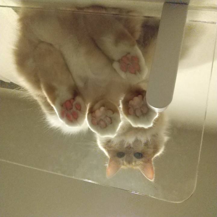 39f2e8d9 97e2 46b5 af20 ec2500aa6c8d 1630363858897