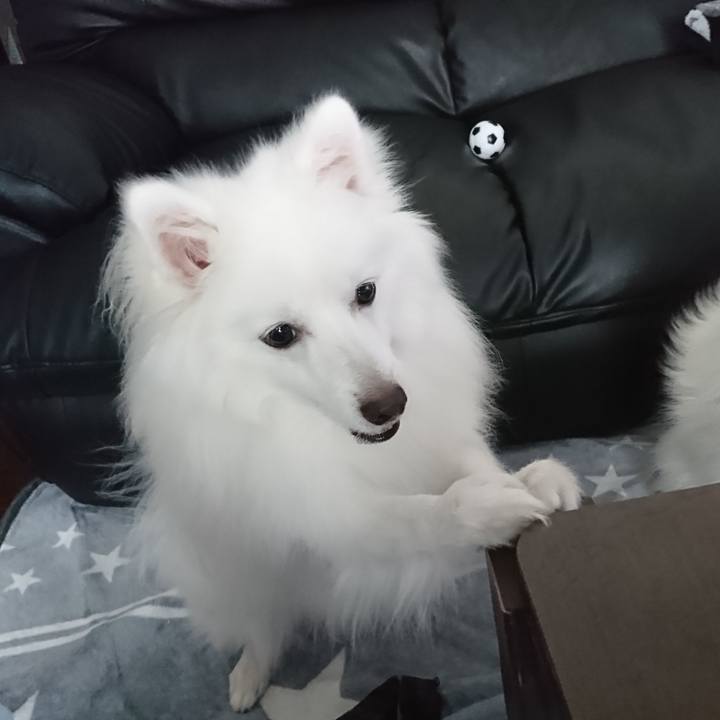 39f2ea86 2ab0 4700 8575 c73b59107735 1580703338399