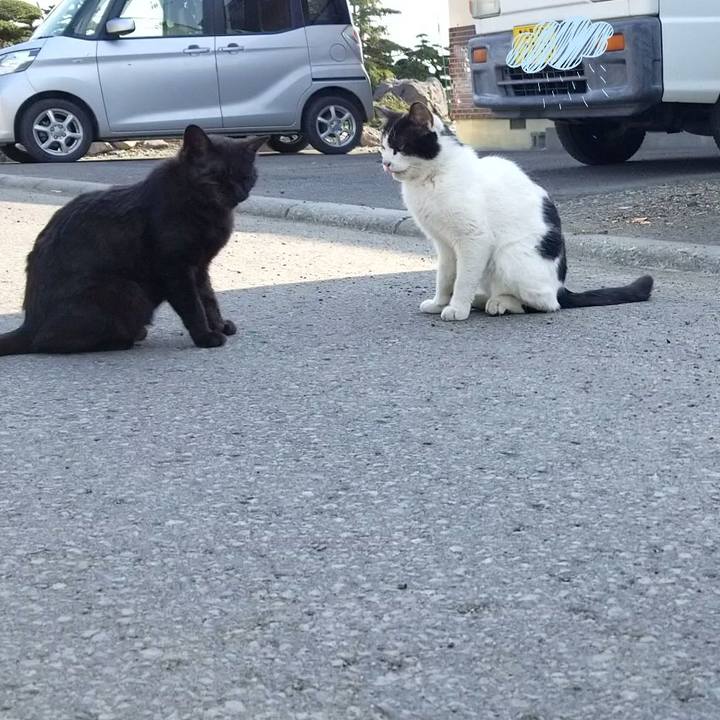 39f2eeeb 33e7 4a6c 830e 50a6295e0db5 1650454836512