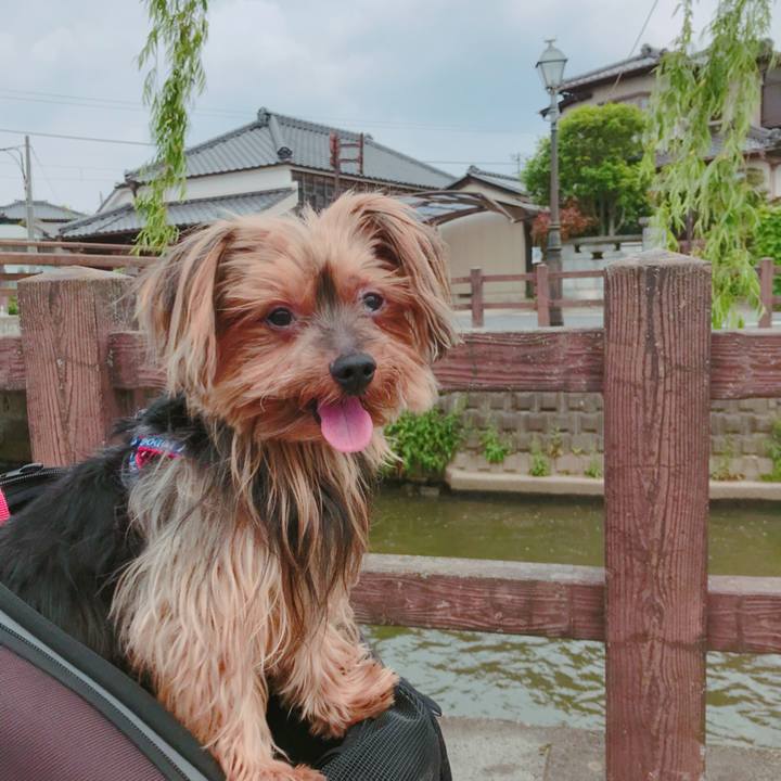 39f2ff43 ba39 47f1 afe0 ff32ac0a86fc 1525427073086