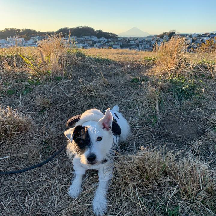 39f32071 7830 4d9c b7a5 21b96f2361ff 1671519939667