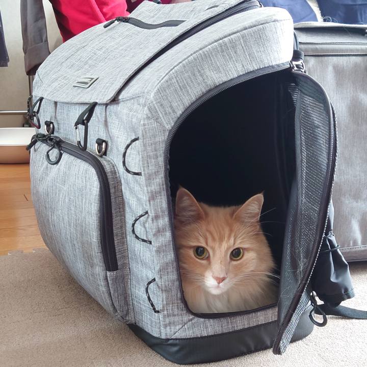 39f3367f 4253 4964 8034 c317ad3a1574 1624499766040