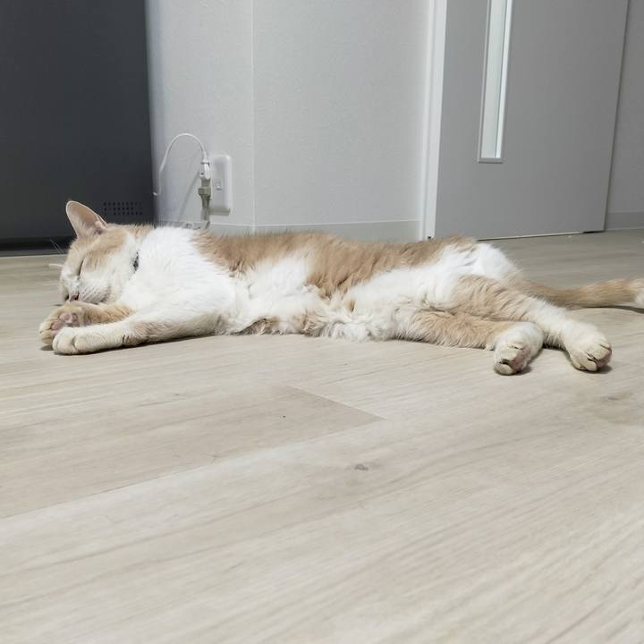 39f3811f d841 4a91 be47 59f53027aa9e 1688726871089