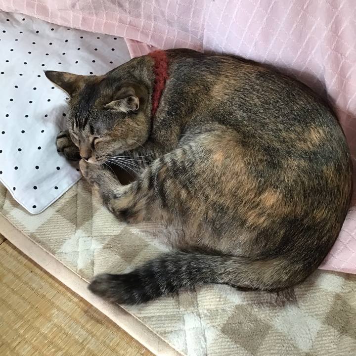 39f42d05 1726 4ee5 aefe c64257416704 1641615946141