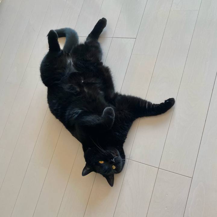 39f47792 470d 4ce9 b70f d97bd76956ca 1683696137998