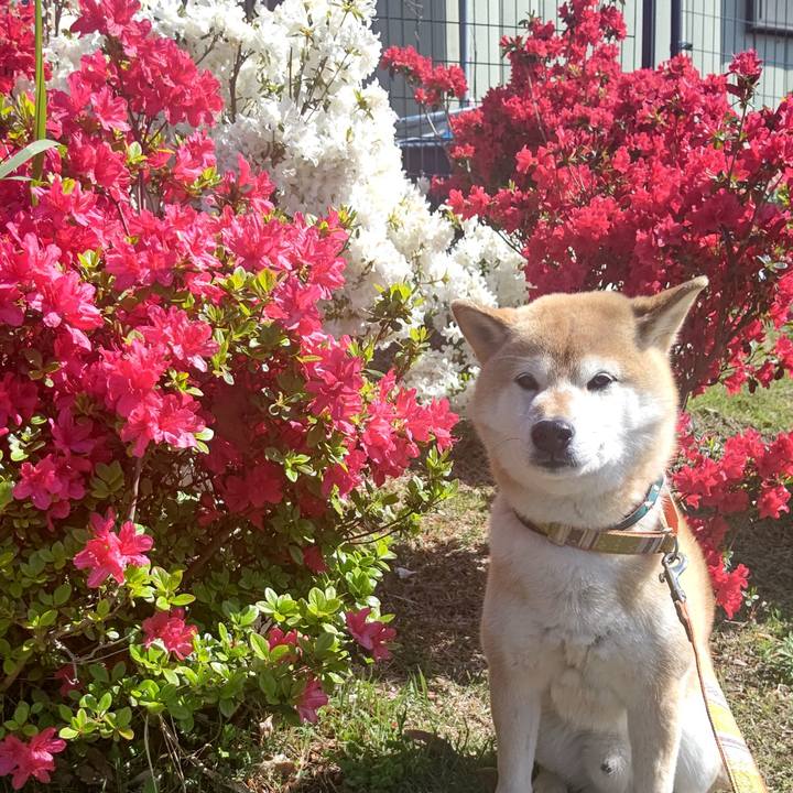 39f49347 9de7 431e b032 619083e75fdd 1618457576248