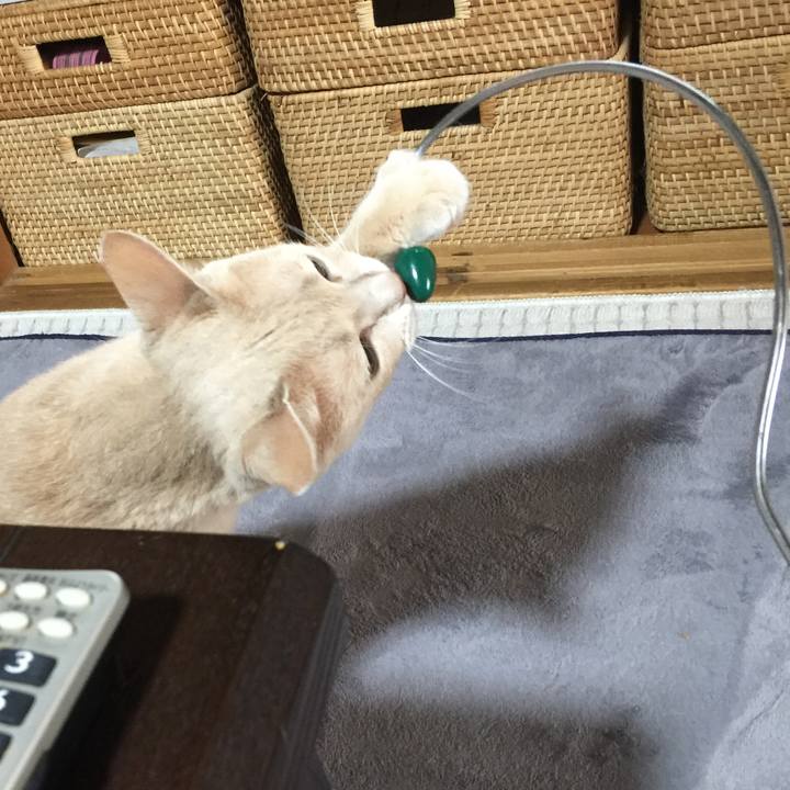 39f4c6e8 0d91 4e96 a8d6 1b9b5362ed97 1536018945989