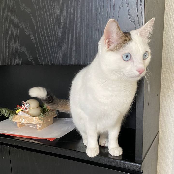 39f4de6a 9405 457f 8da7 39bccb1bfe0c 1735629371646