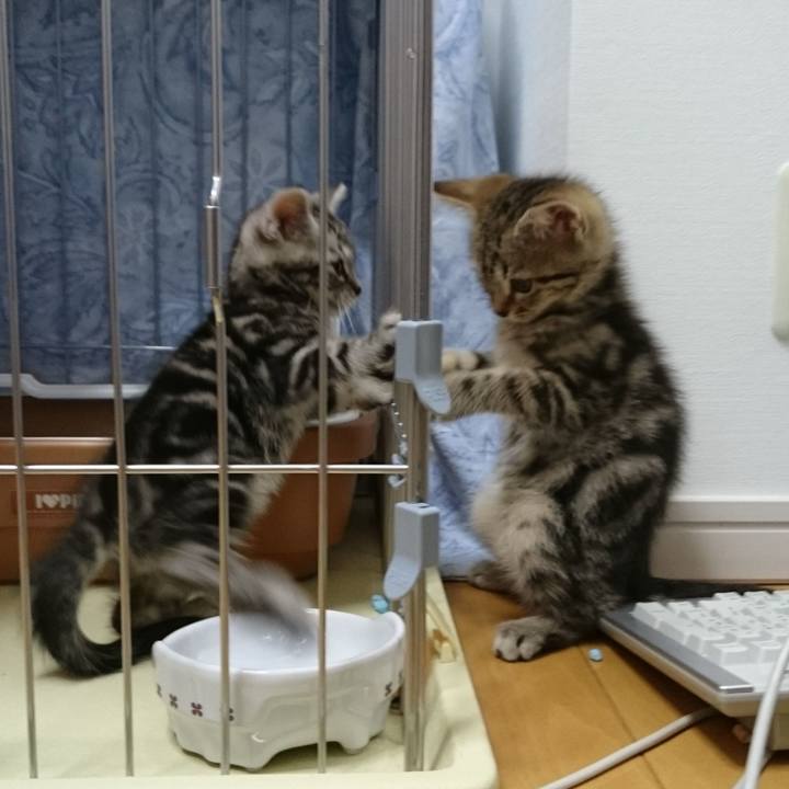 39f5062a 22da 40c5 a4cf 5b97741f66ad 1550750239838