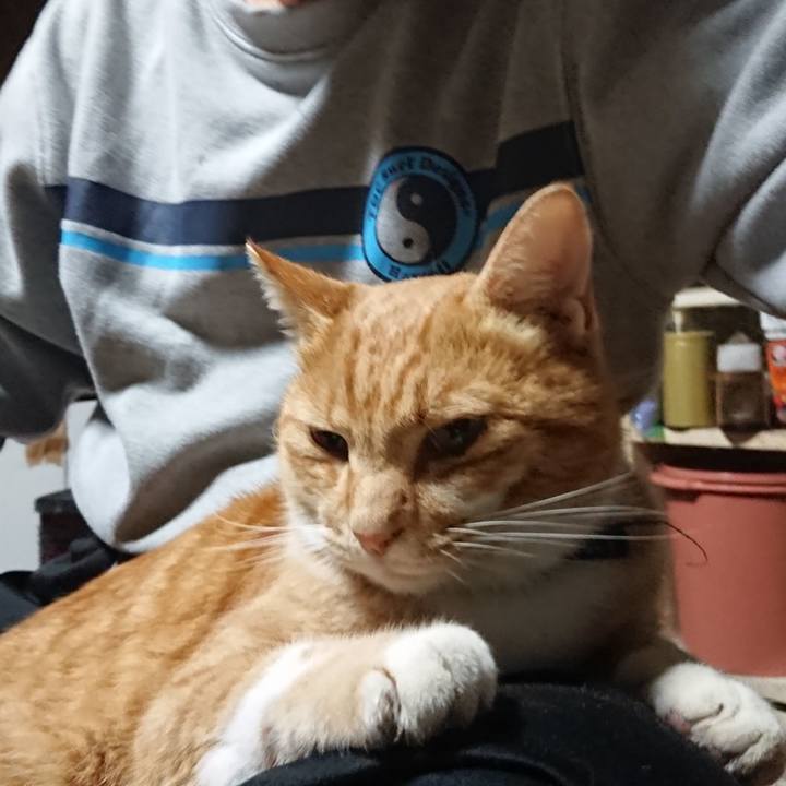 39f50bc1 336b 4f9b 9f61 3a01455298bb 1602794764760