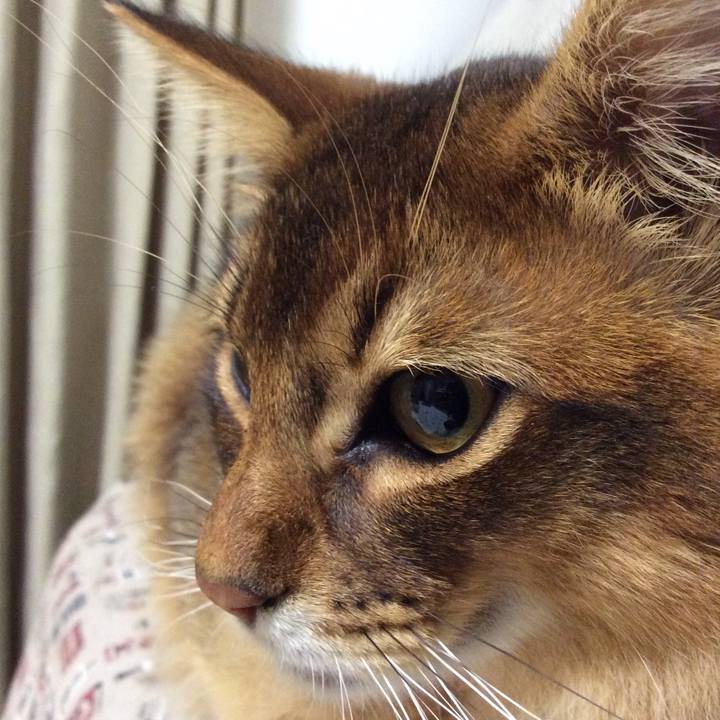 39f510e7 d7dc 49f1 b98c 89344ff3dc69 1581112165305